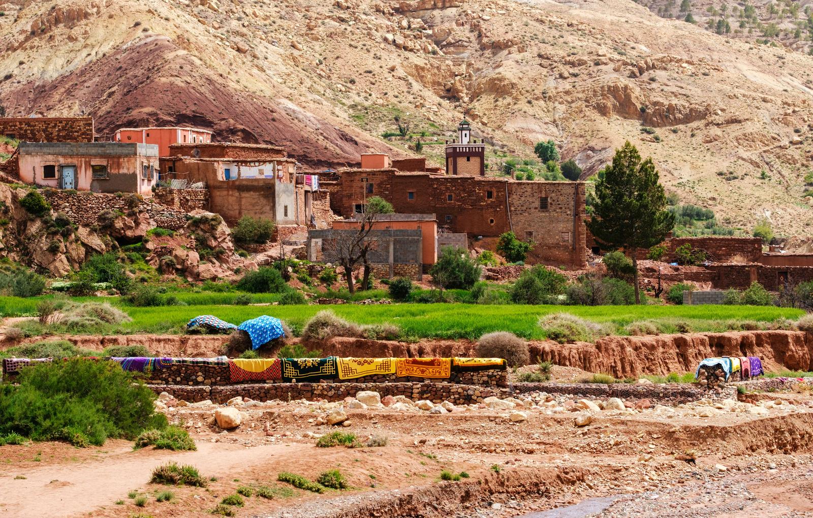 Argan oil cooperative